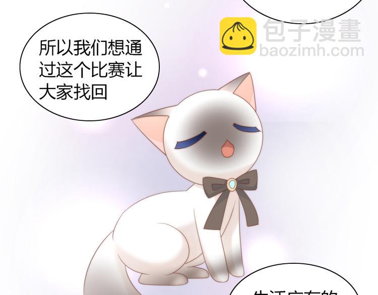 第76话 猫咪选美大赛(1/2)-第77话