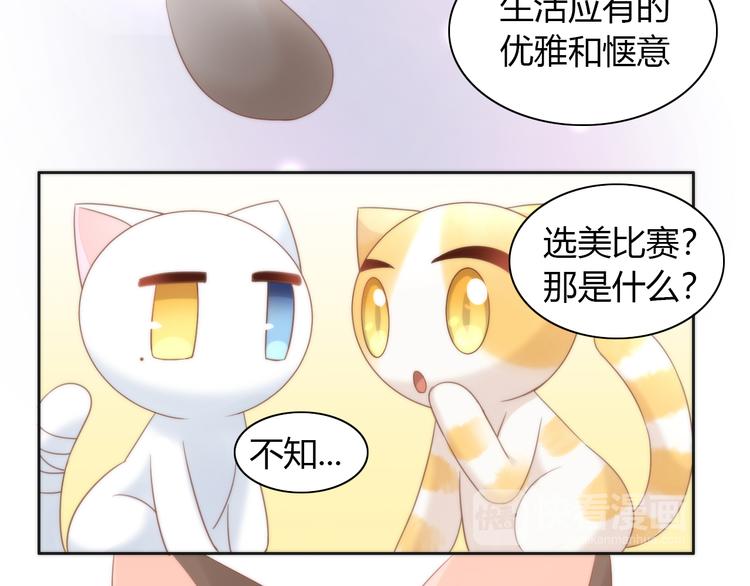 第76话 猫咪选美大赛(1/2)-第77话
