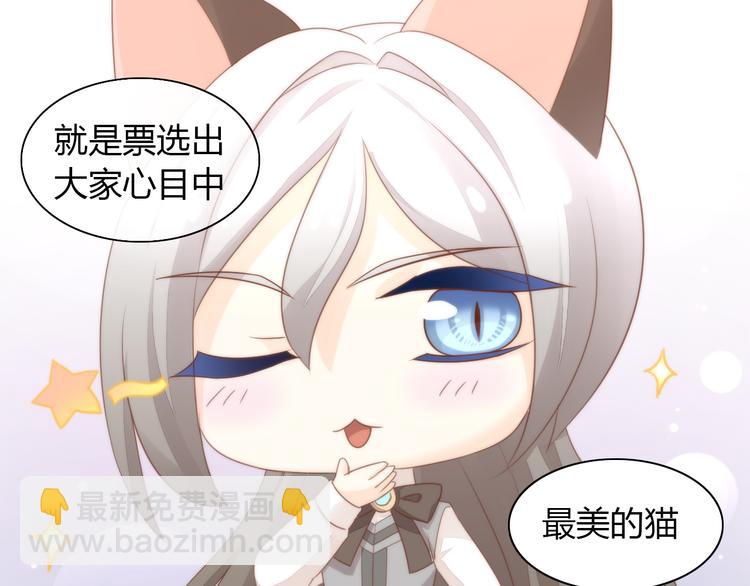 第76话 猫咪选美大赛(1/2)-第77话