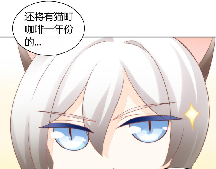 第76话 猫咪选美大赛(1/2)-第77话