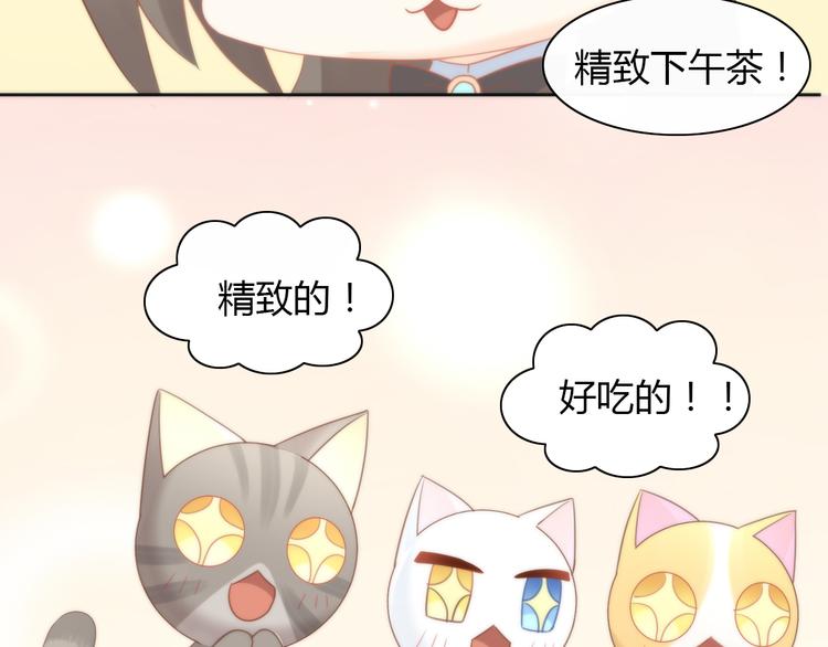 第76话 猫咪选美大赛(1/2)-第77话