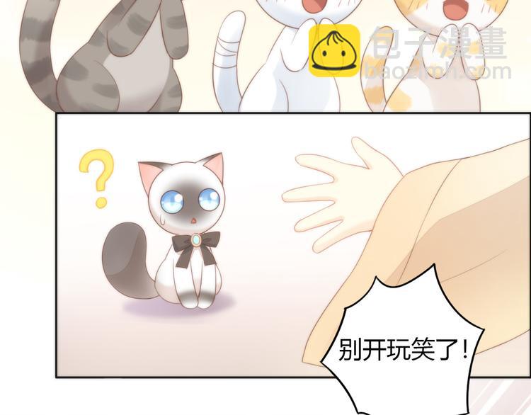 第76话 猫咪选美大赛(1/2)-第77话