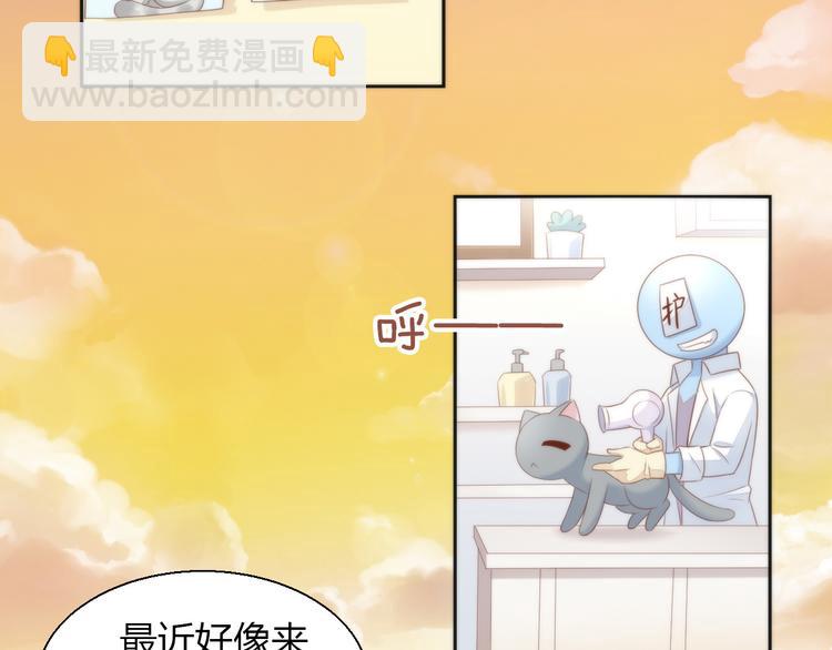 第76话 猫咪选美大赛(1/2)-第77话