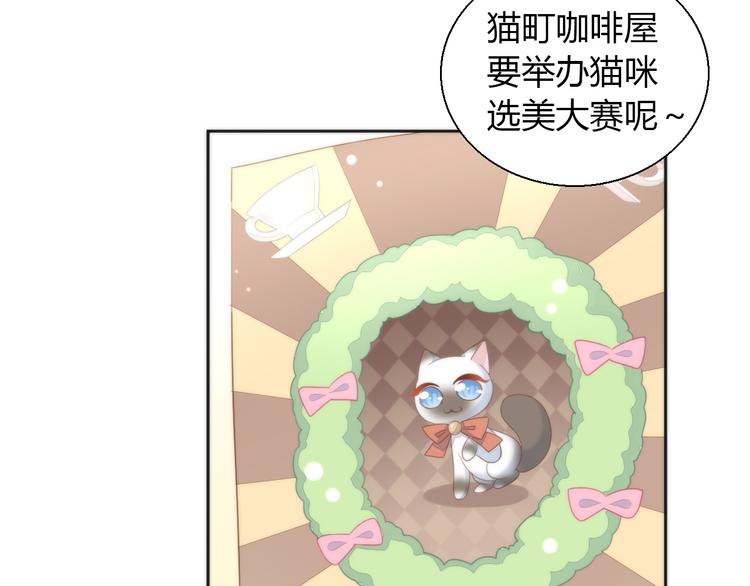 第76话 猫咪选美大赛(1/2)-第77话