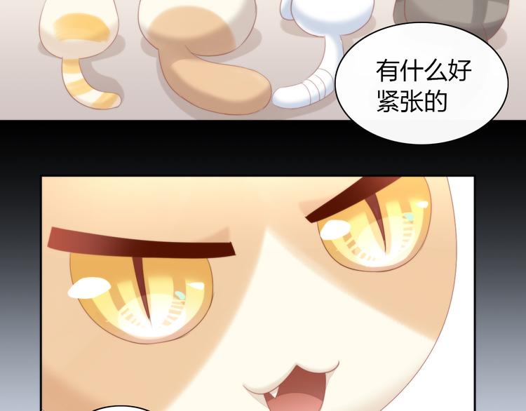 第78话 选美比赛(1/3)-第79话