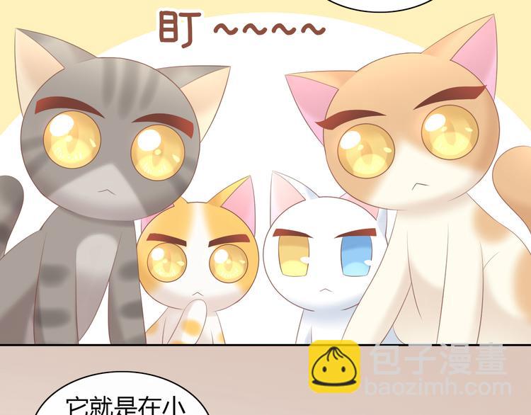 第86话 友好相处！(1/2)-第87话