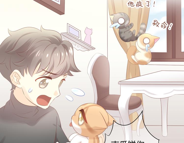 第86话 友好相处！(1/2)-第87话