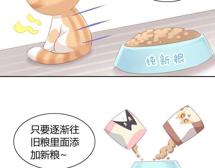 第86话 友好相处！(1/2)-第87话