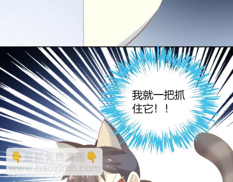 第96话 神秘小偷现身(1/2)-第97话