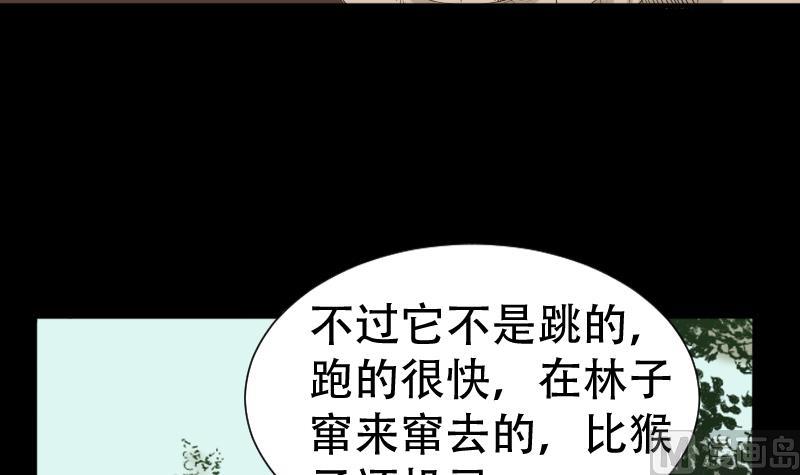 第40话 林中探秘(1/2)-第41话