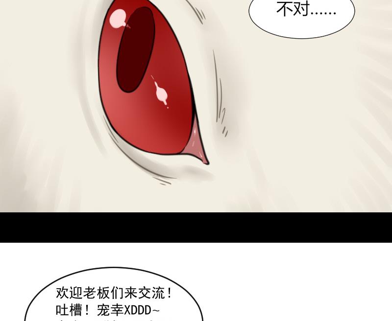第56话 阵法-第57话
