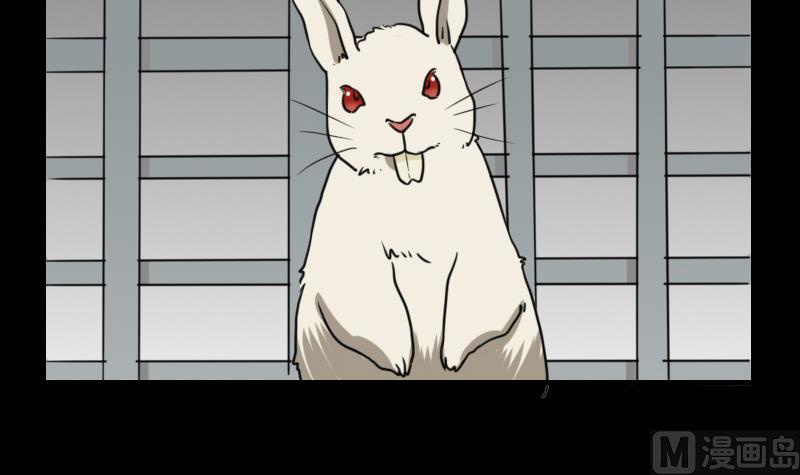 第58话 回来了-第59话