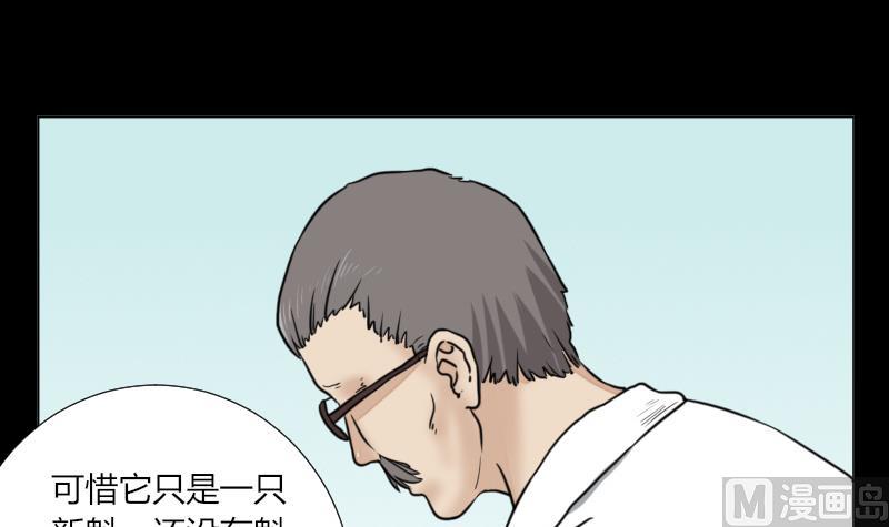 第62话 吃灵芝长魁元-第63话
