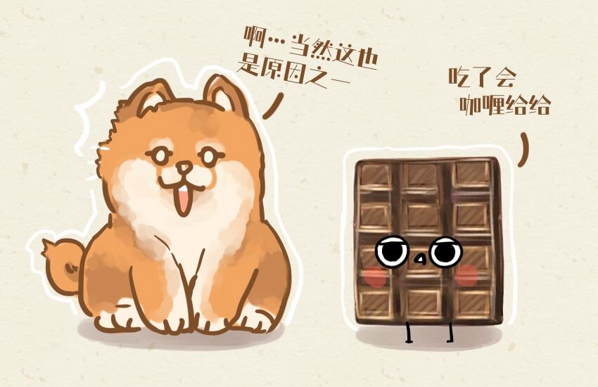 062  薯条  巧克力  鲜花饼-第63话
