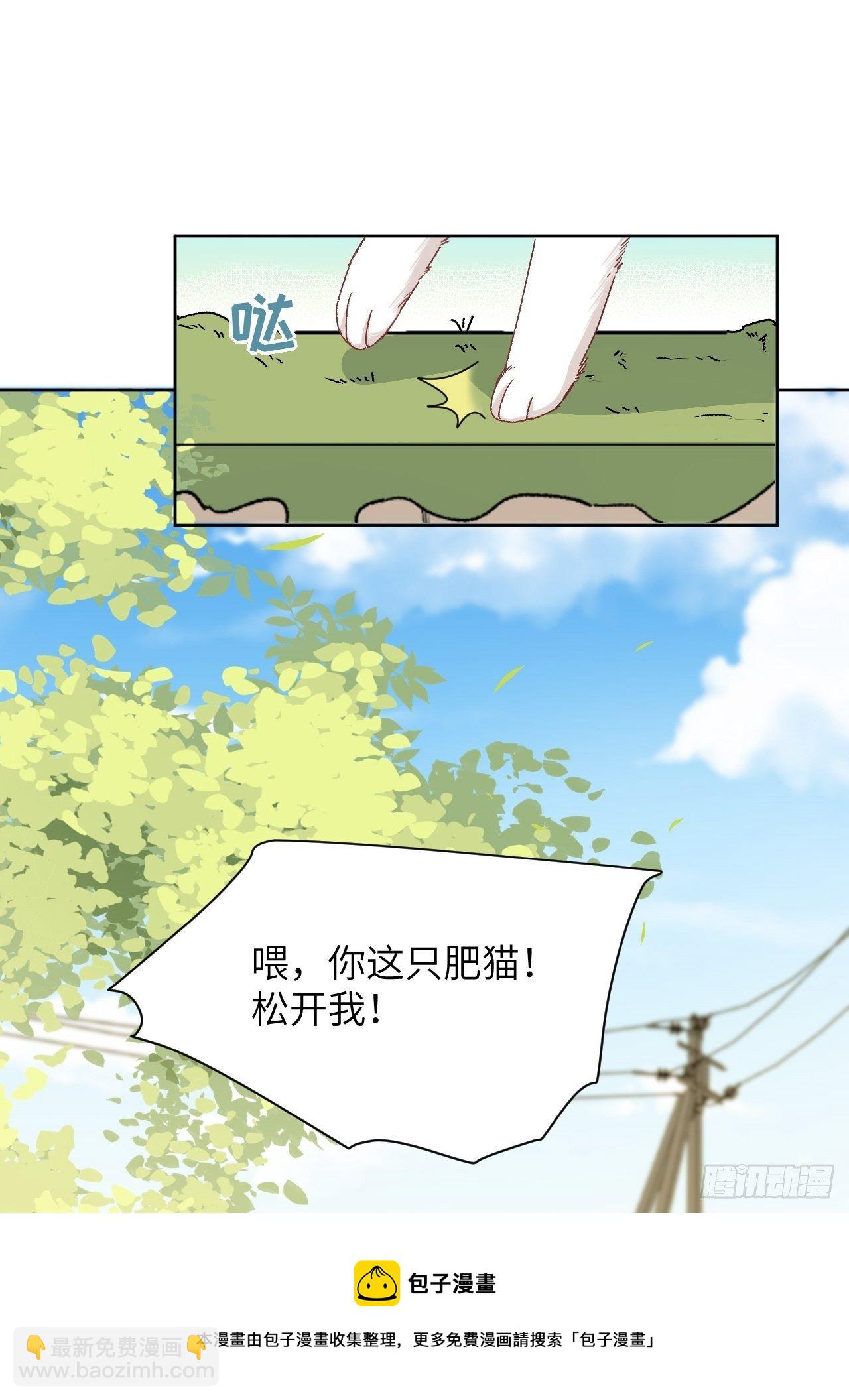第44话：蝉妖知知（五）(1/2)-第47话