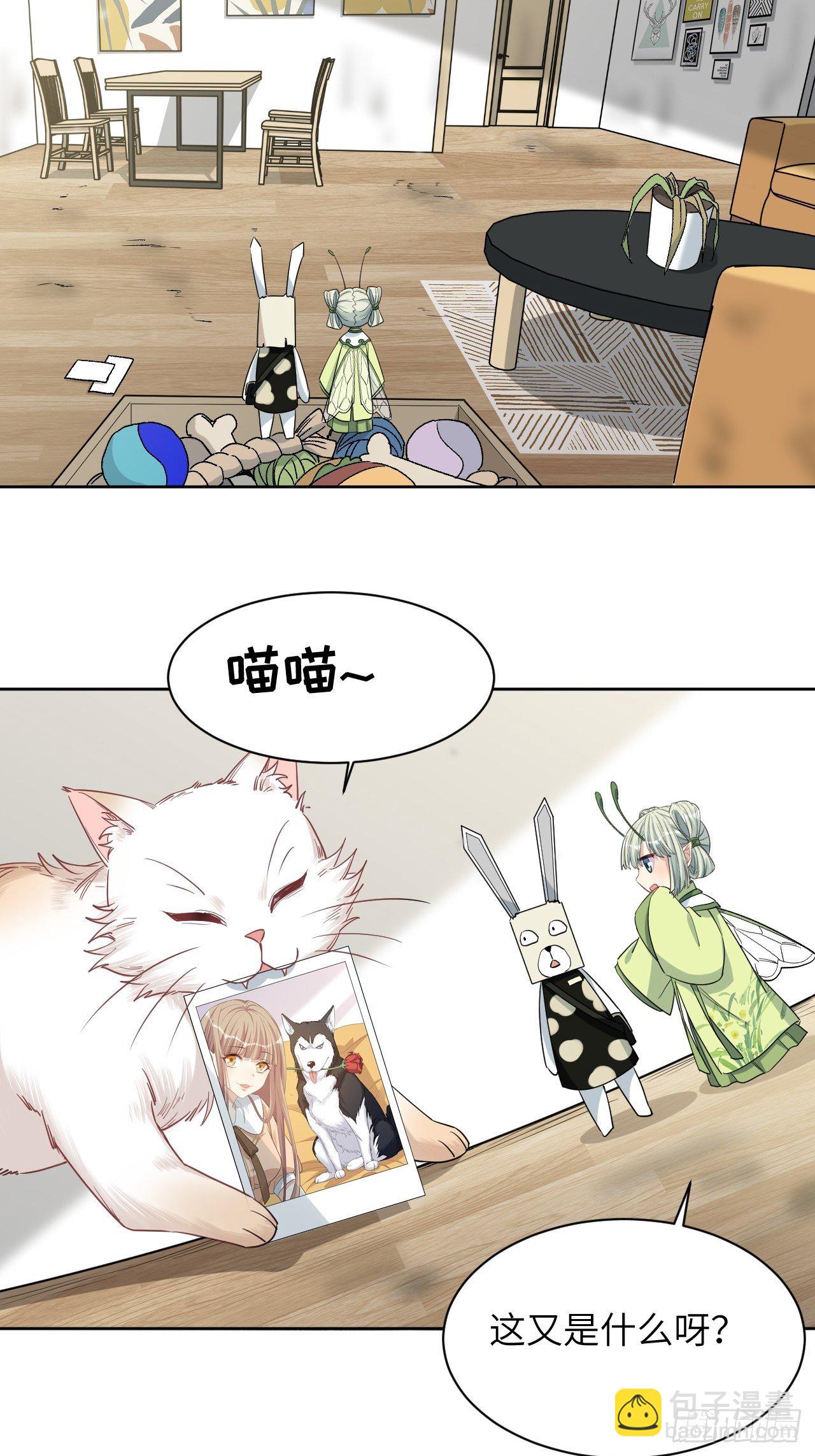 第44话：蝉妖知知（五）(1/2)-第47话