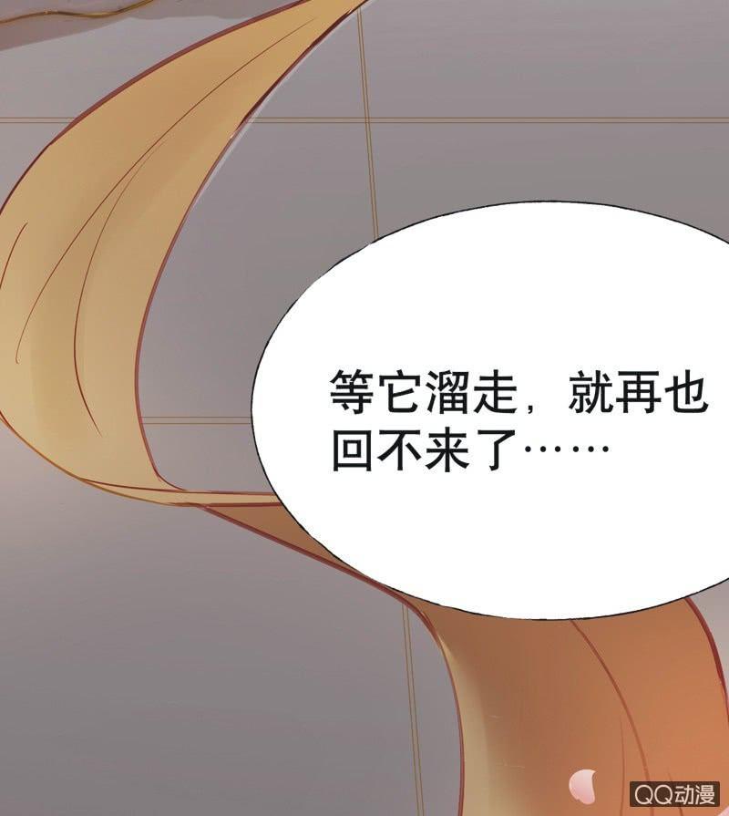 【十五】入选-第17话