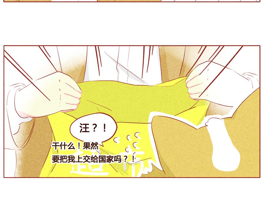 第26话 汪汪汪？-第27话