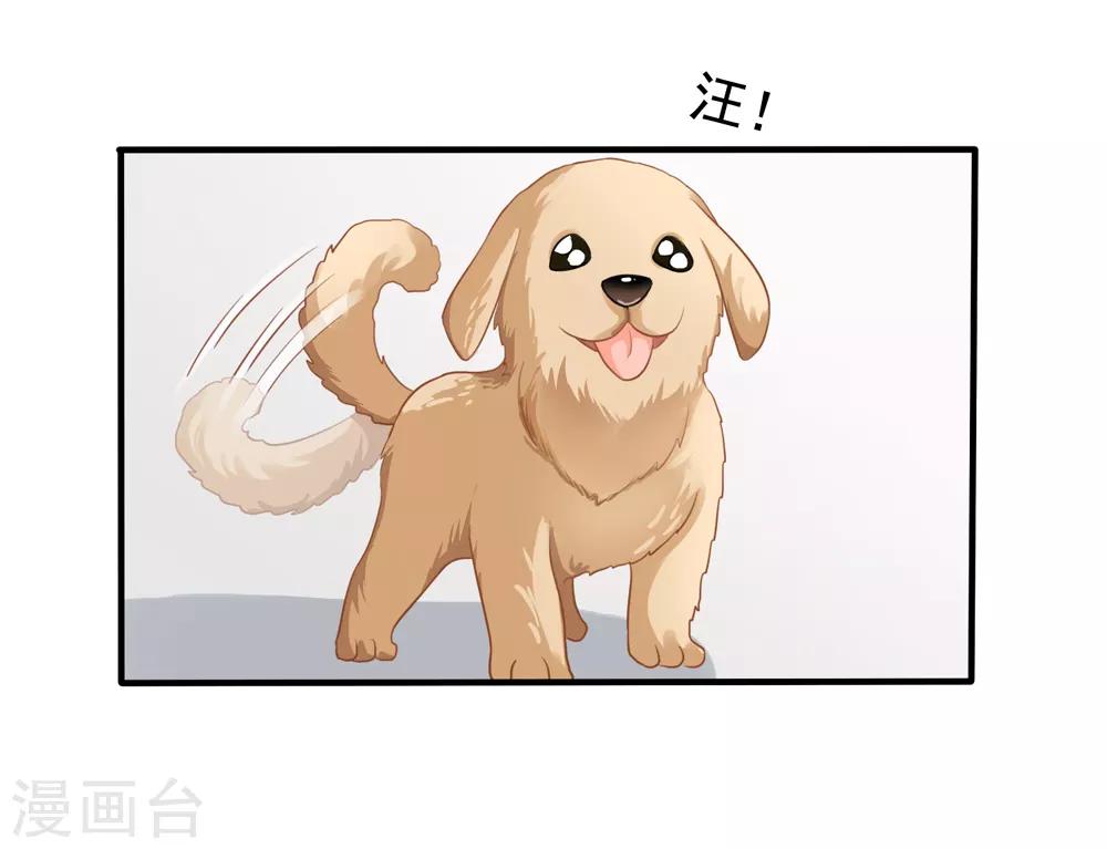 第14话 我爷爷可是元帅-第15话