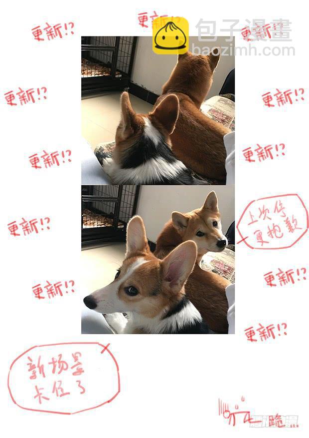 🍟妹子与科学 329 夺回自由 第17页