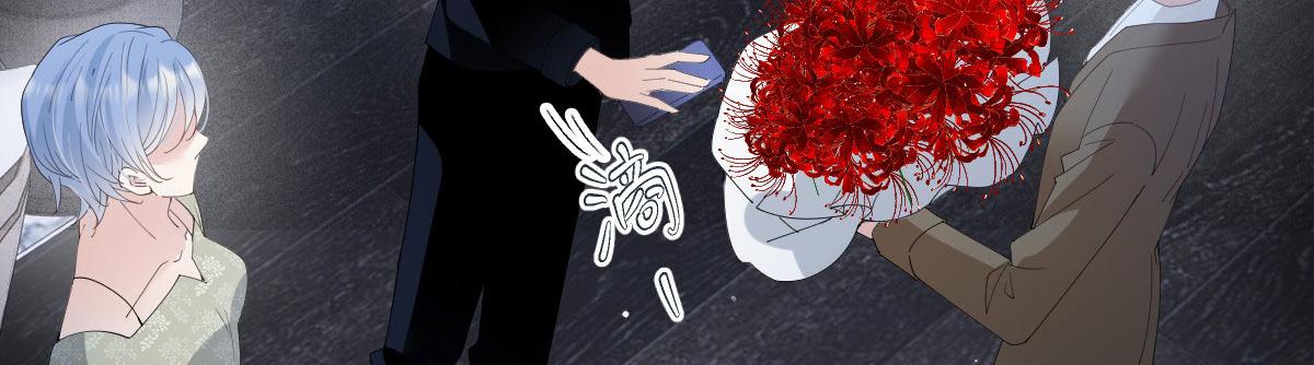 第二百三十二话 明显的圈套(1/3)-第237话