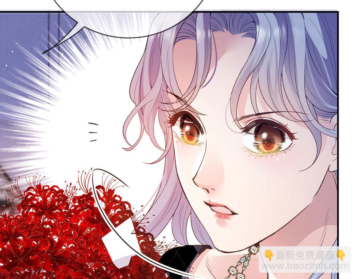 第二百三十二话 明显的圈套(1/3)-第237话