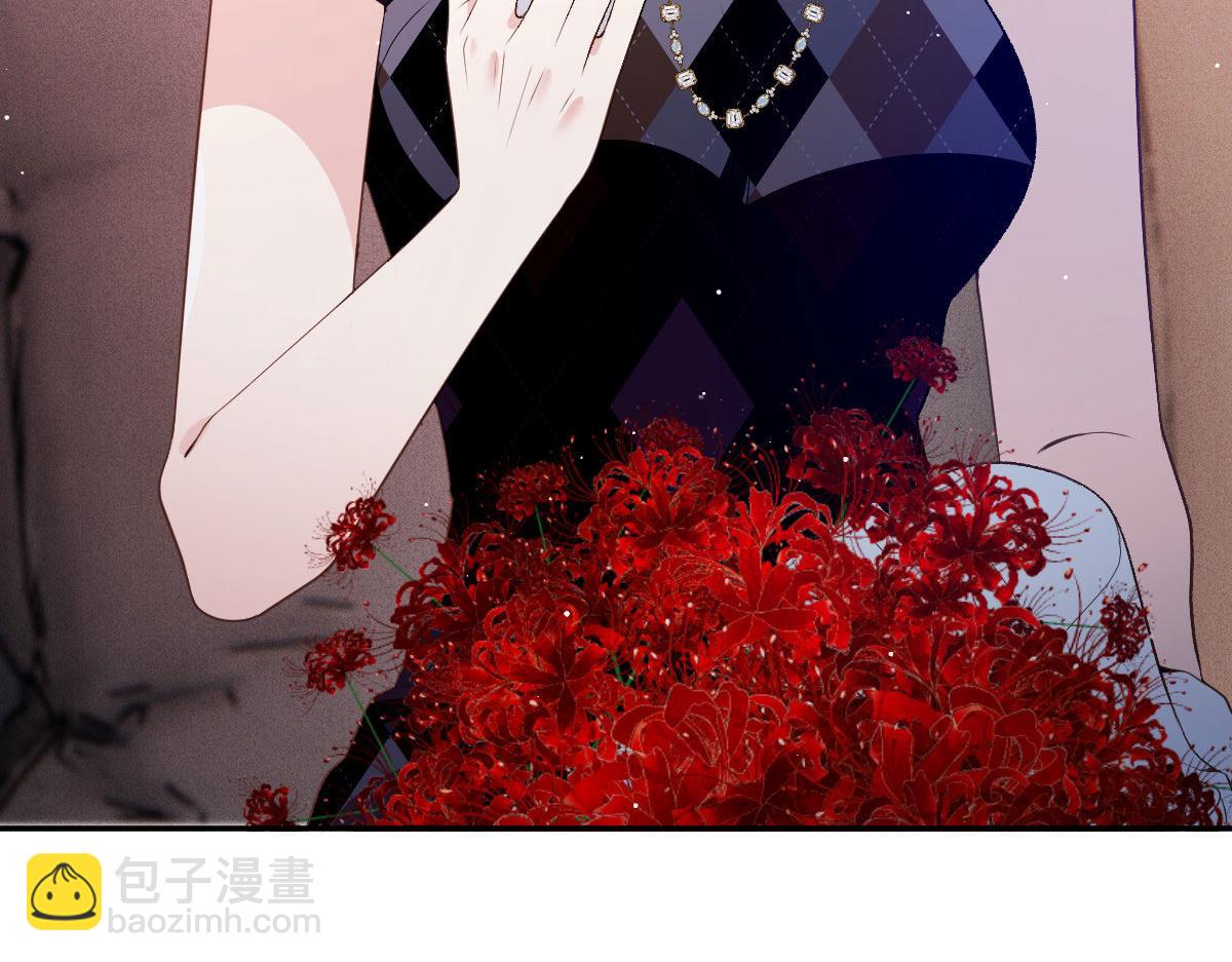 第二百三十二话 明显的圈套(1/3)-第237话