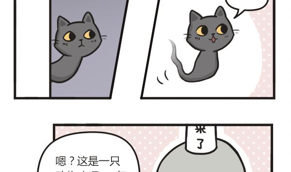 🍟萌差到漫画 第45话 黑无常的秘密 第11页