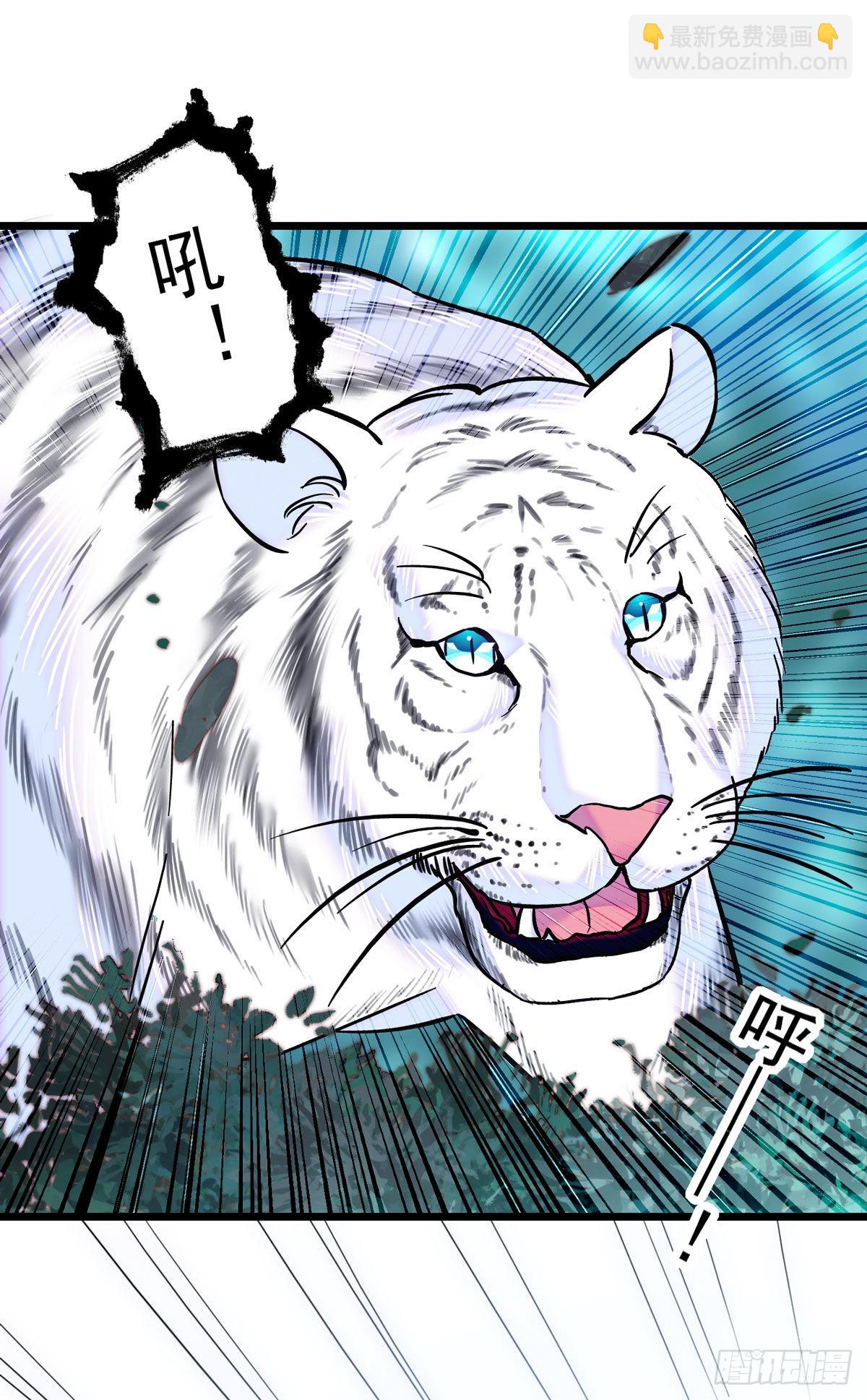 03 这是，动物世界？-第3话