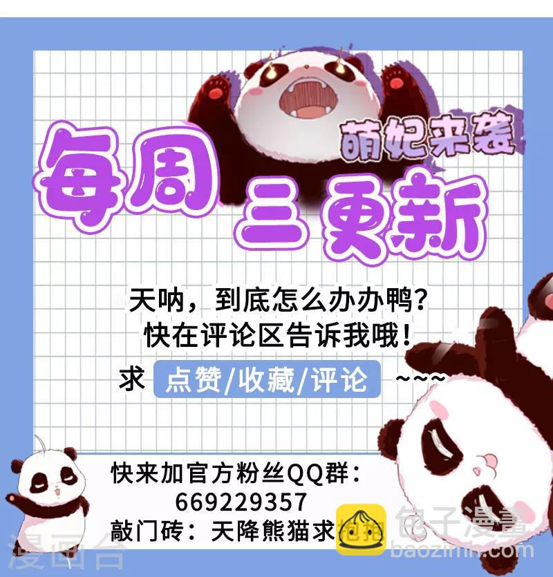 第12话 怎么电铲屎官-第13话