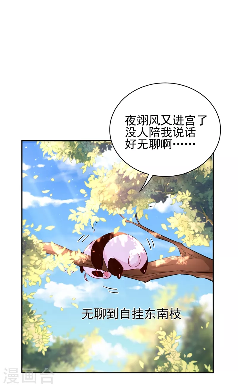 番外1 被蜜蜂蛰了的那点事儿-第81话