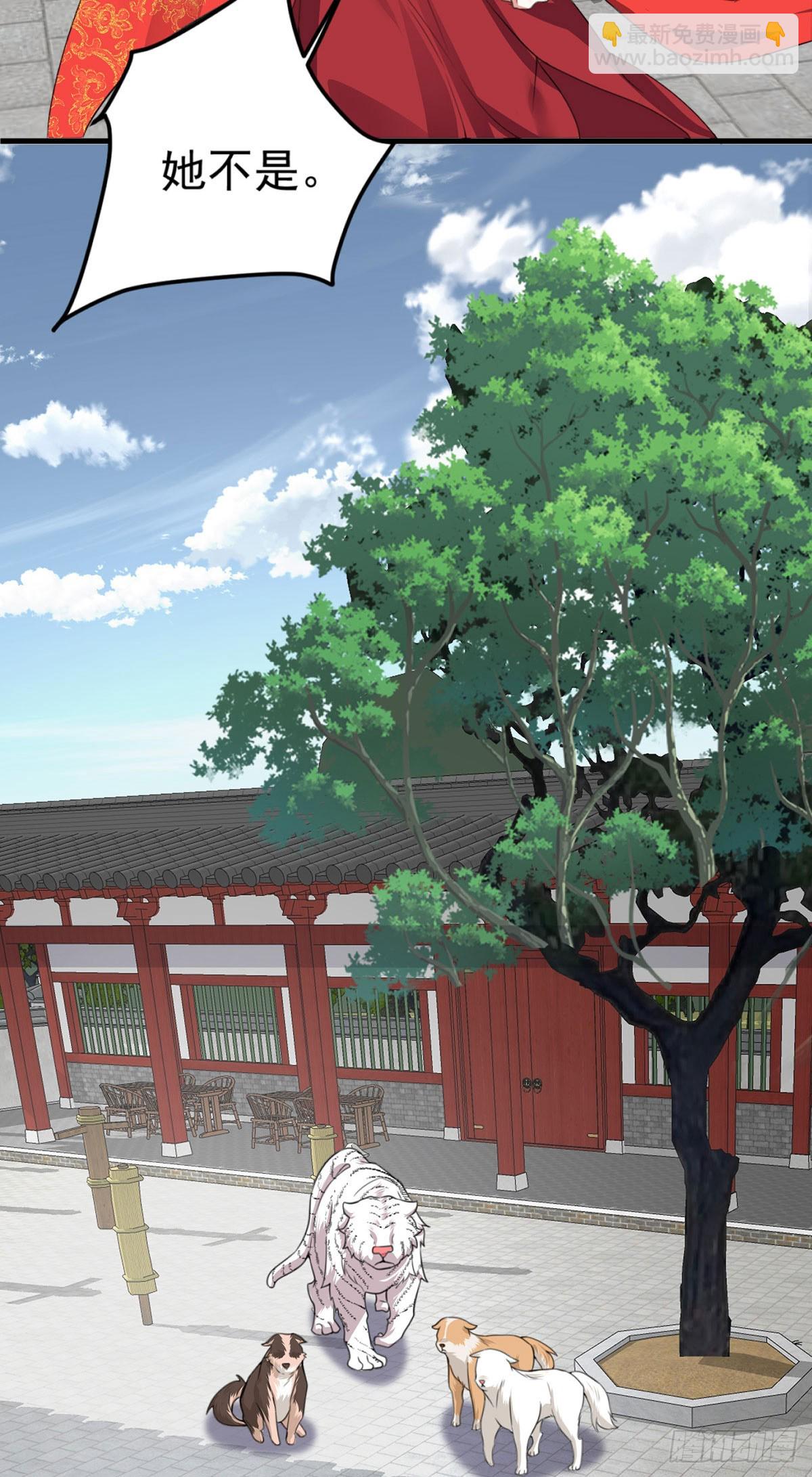 第213话 英儿去哪了？完结-第213话