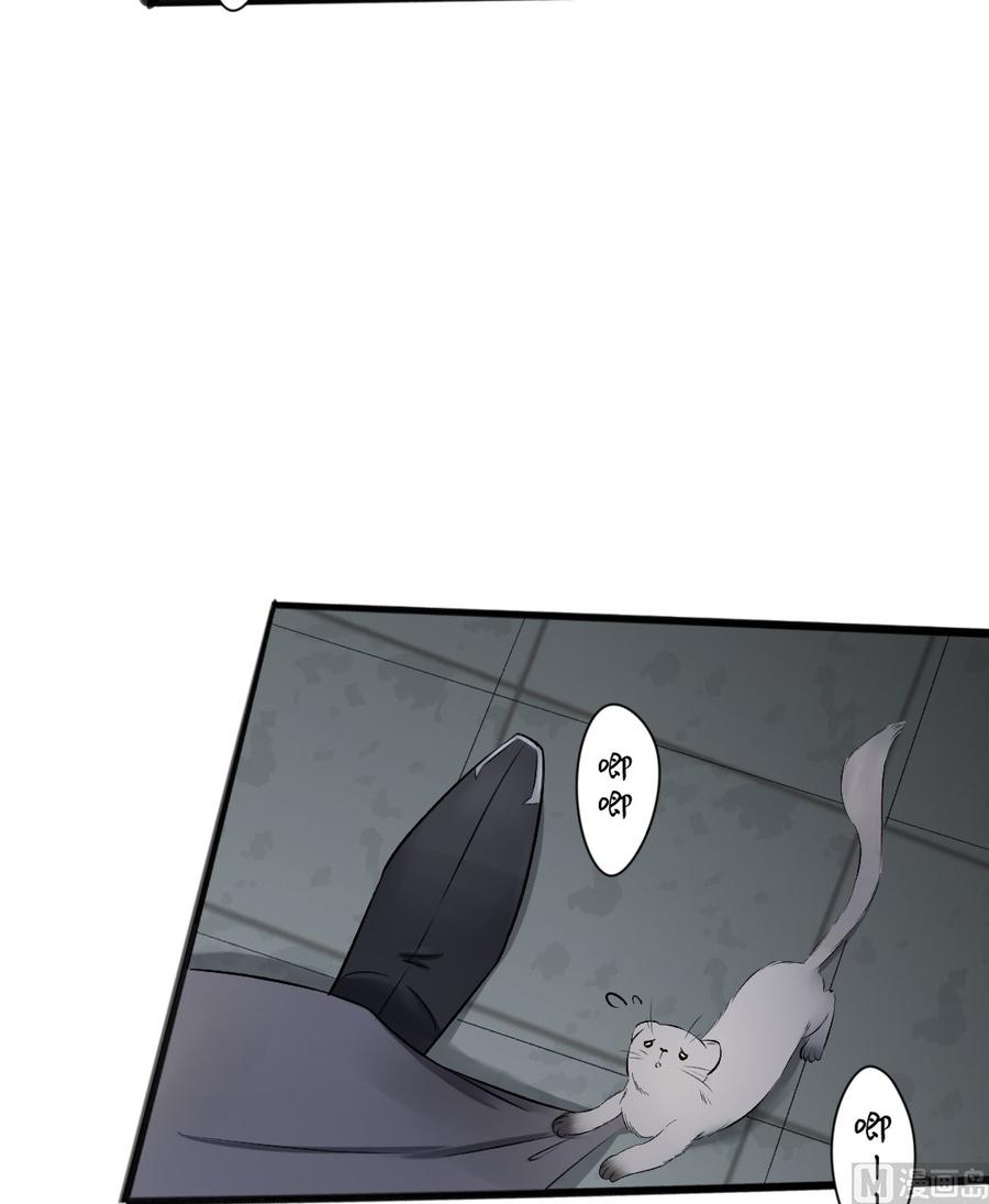 第23话 胆大的伶鼠(1/2)-第23话