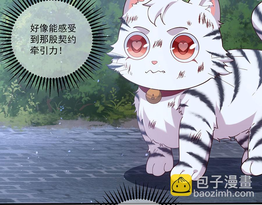 🍟萌师在上 第448话 初战告捷 第37页