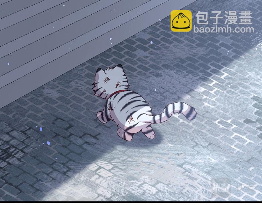 🍟萌师在上 第448话 初战告捷 第41页
