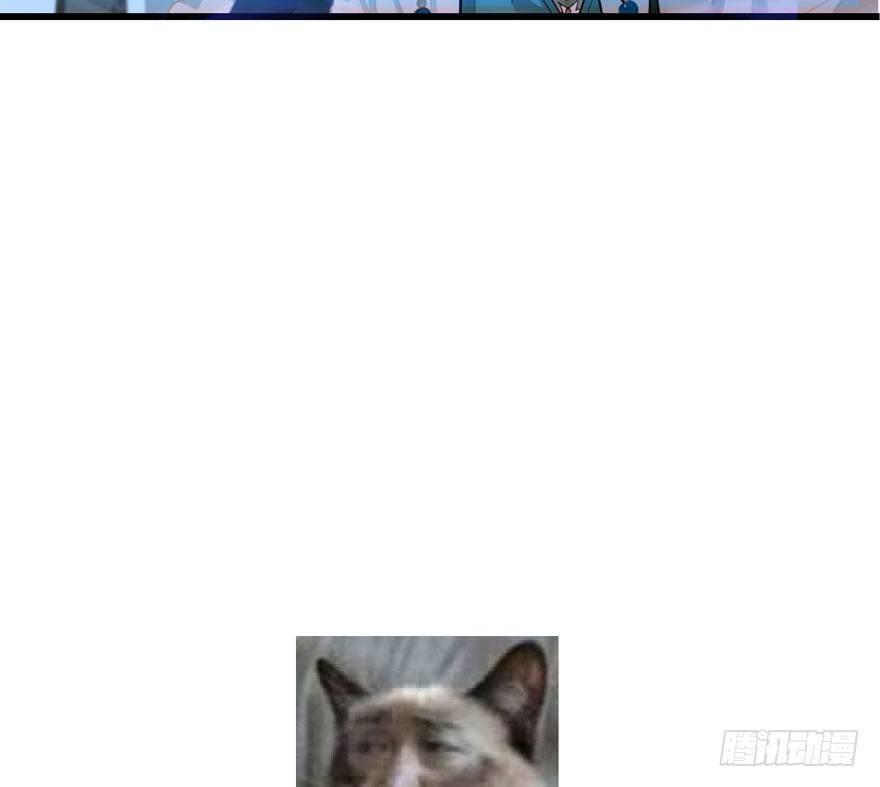 震惊！梦界逗猫神器竟然是？-第19话