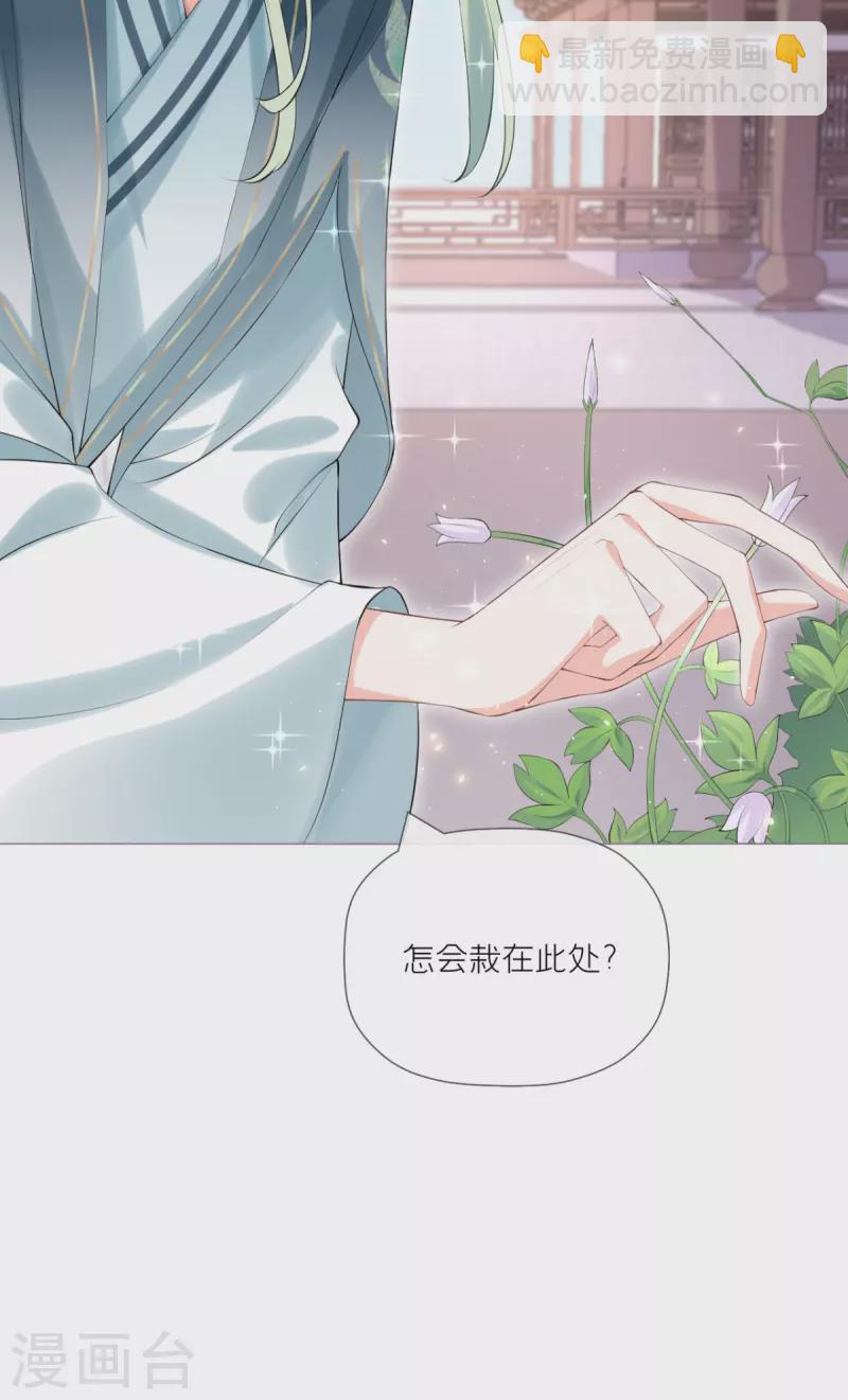 第34话 在逃森林王子(1/2)-第37话