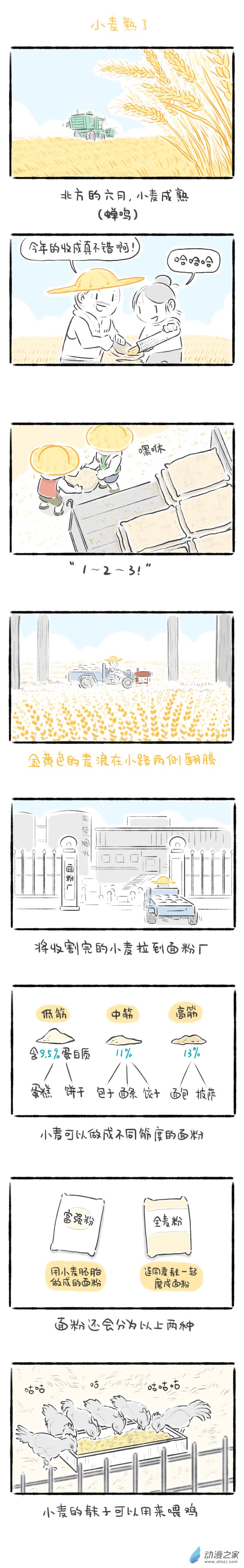 77话 小麦熟了-第81话