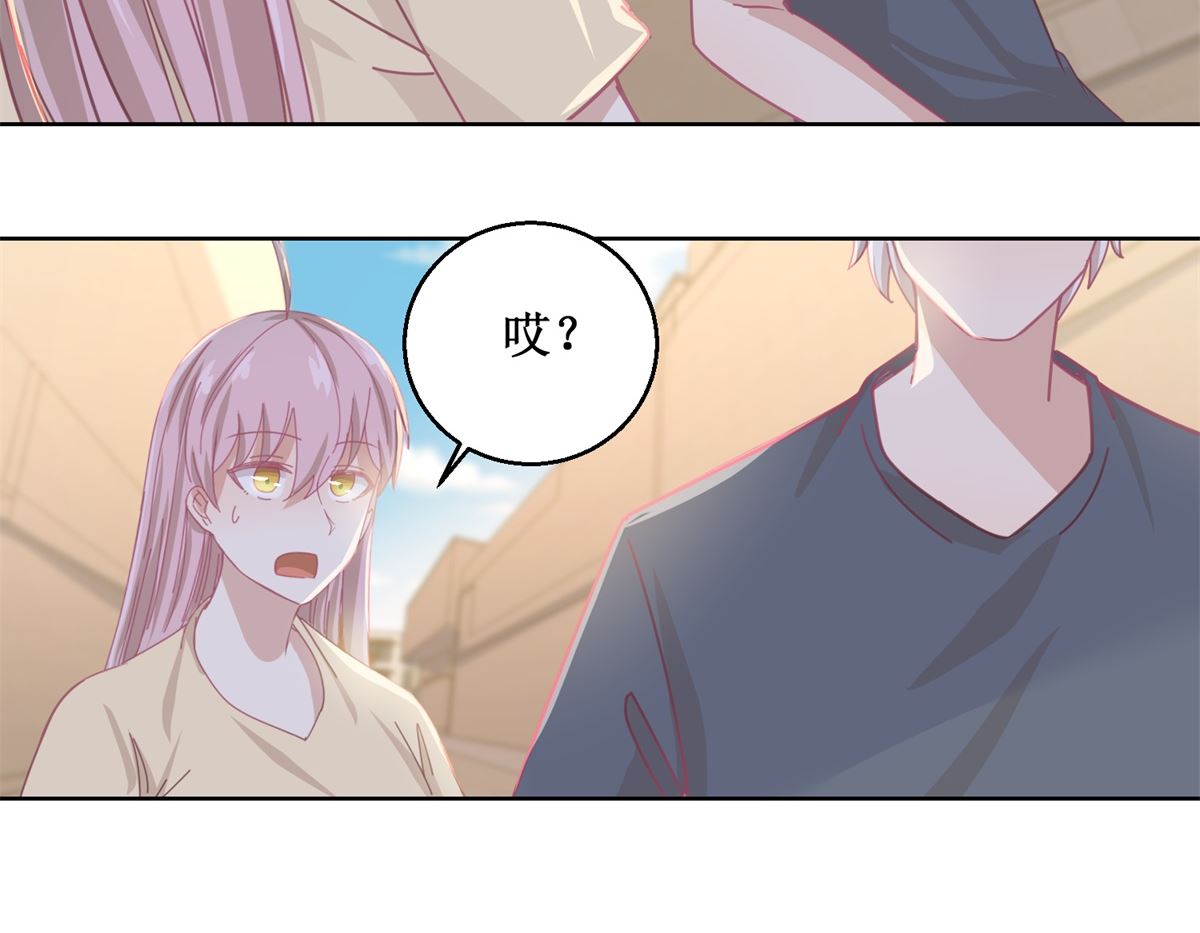 第80回 红玫瑰-第81话