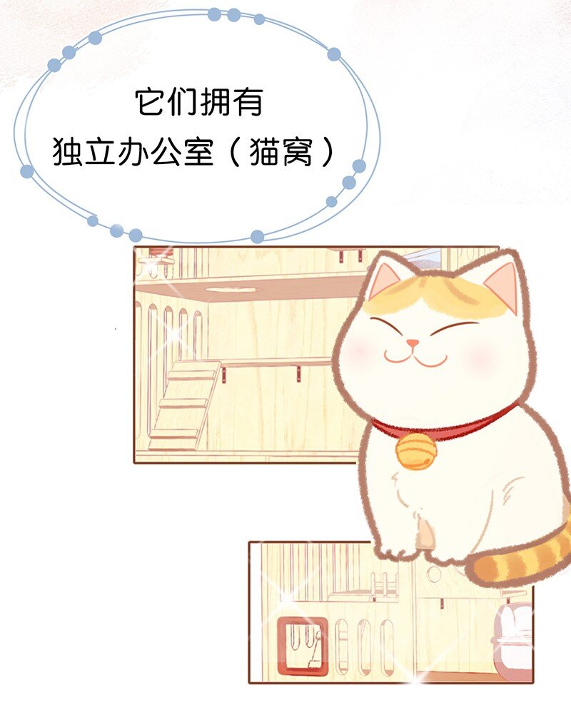 楔子 喵？-第1话
