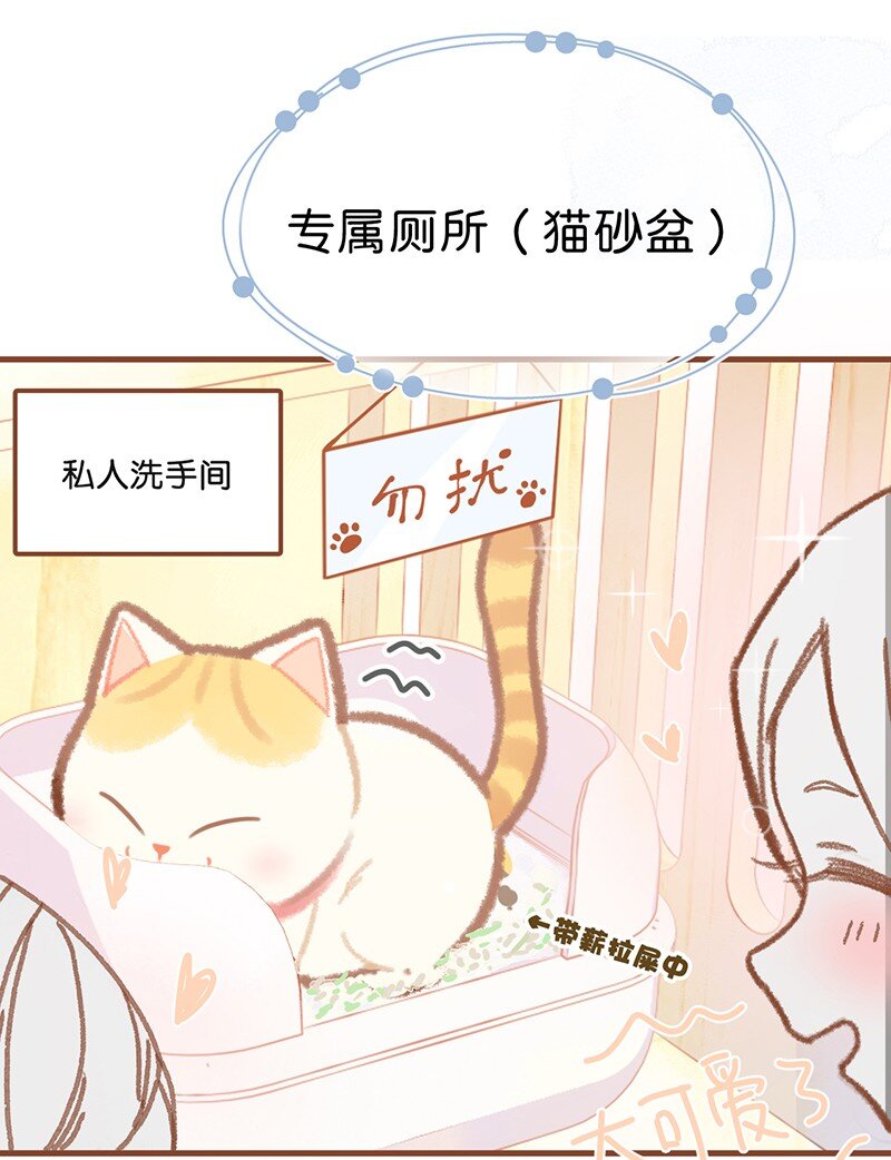 楔子 喵？-第1话