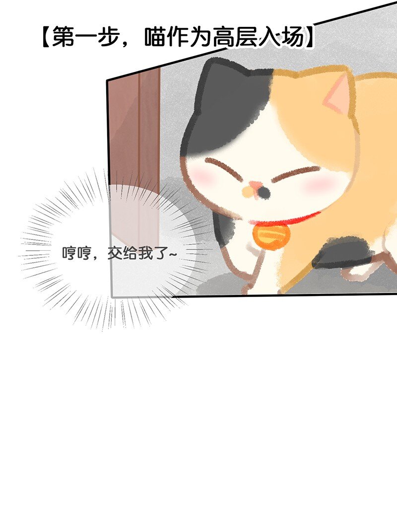 12 万能的喵铃铛？-第13话