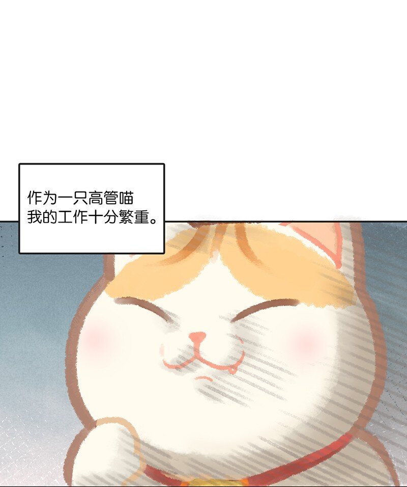 02 高管喵的日常-第3话