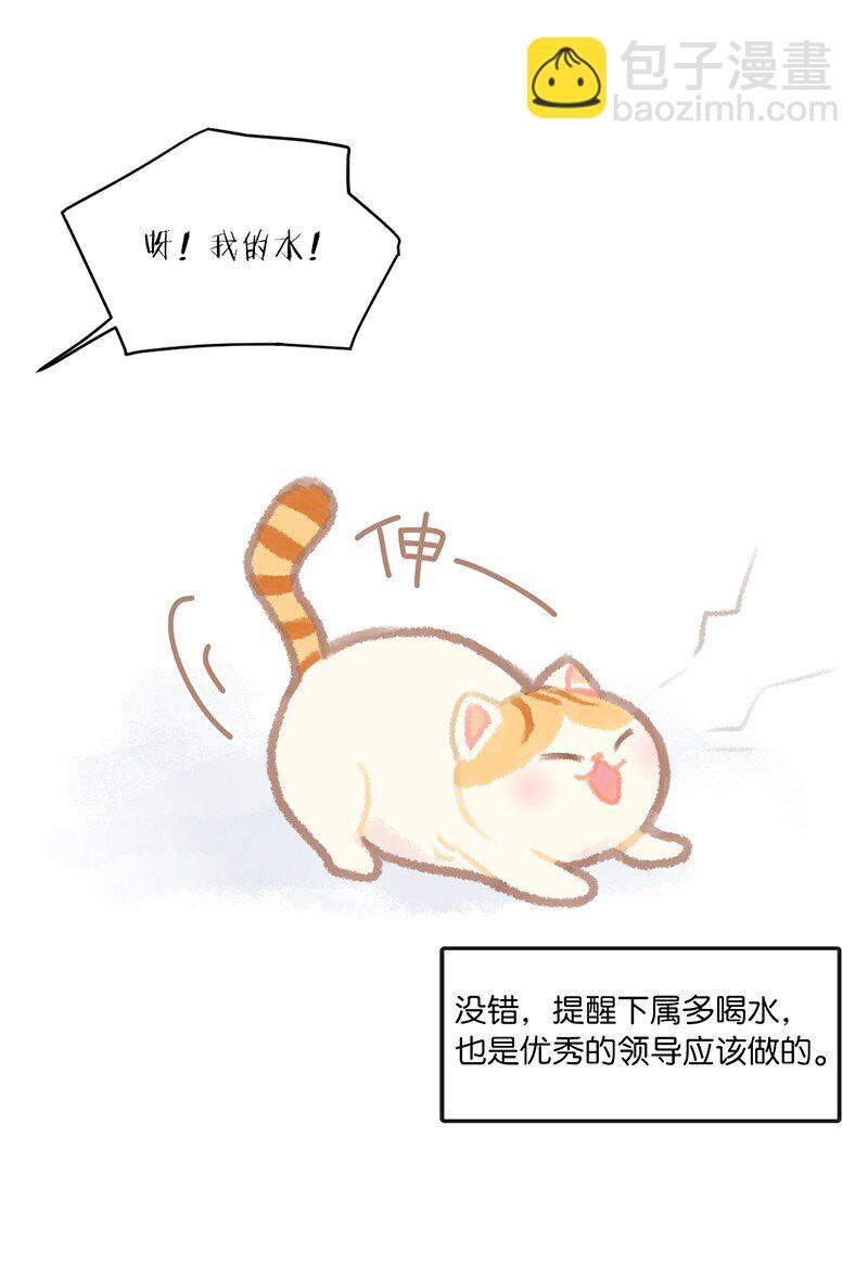02 高管喵的日常-第3话
