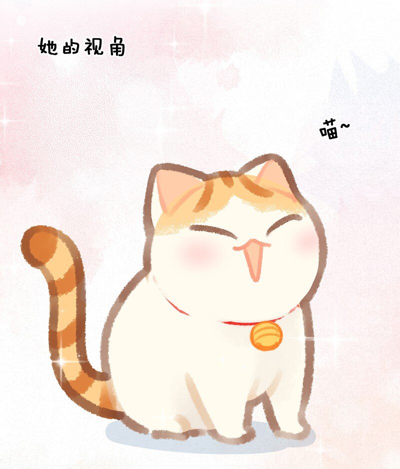 圣诞 圣诞特别篇&mdash;&mdash;大橘的礼物！-第21话