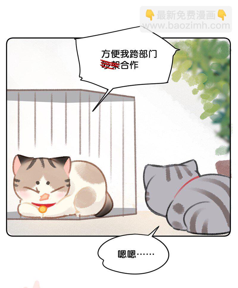 26 喵高管们的新年愿望？-第29话