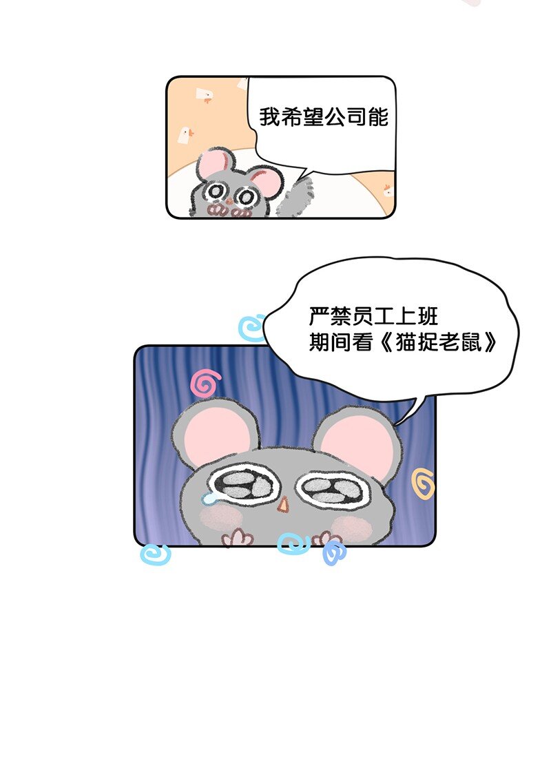 26 喵高管们的新年愿望？-第29话