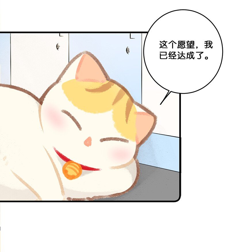 26 喵高管们的新年愿望？-第29话