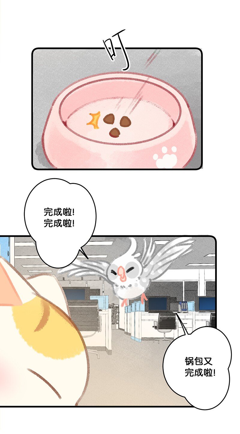 26 喵高管们的新年愿望？-第29话