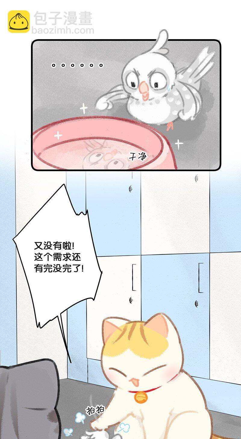 26 喵高管们的新年愿望？-第29话
